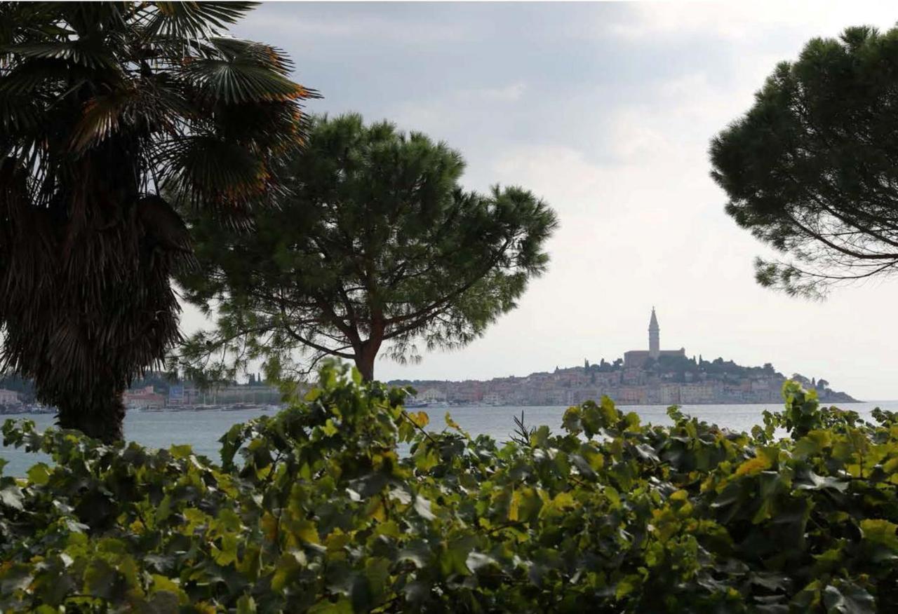 Linea Mare Rovinj