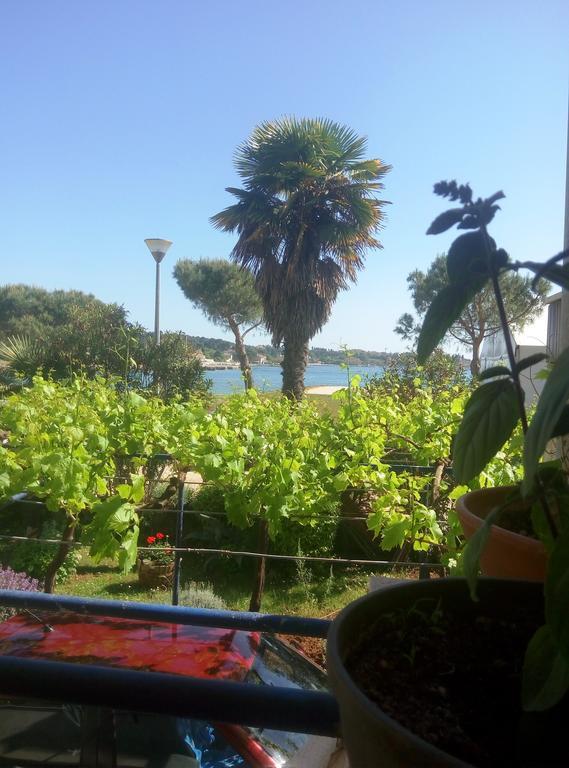 Linea Mare Apartment