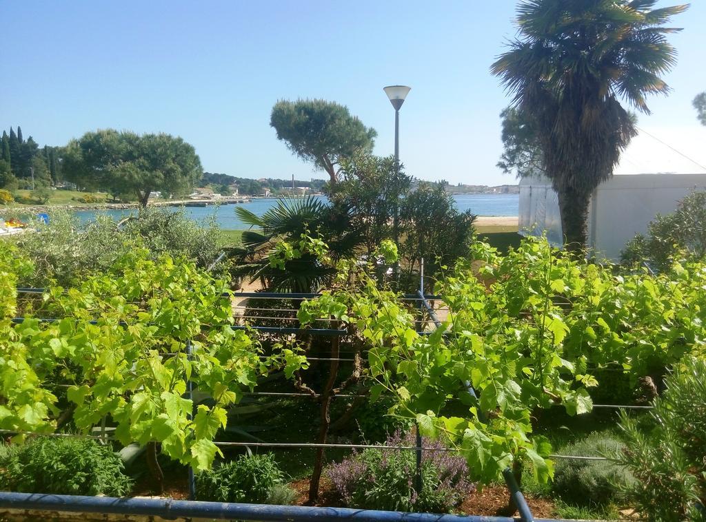 Linea Mare Apartment Rovinj
